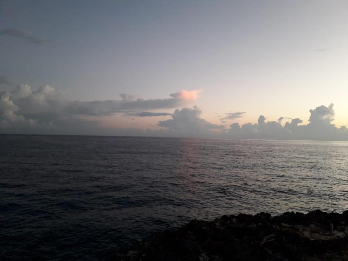 Seacastle Deluxe Studio Montego Bay Exteriör bild