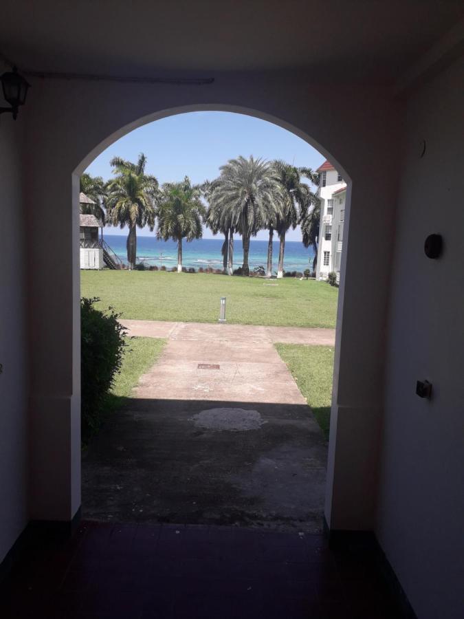 Seacastle Deluxe Studio Montego Bay Exteriör bild