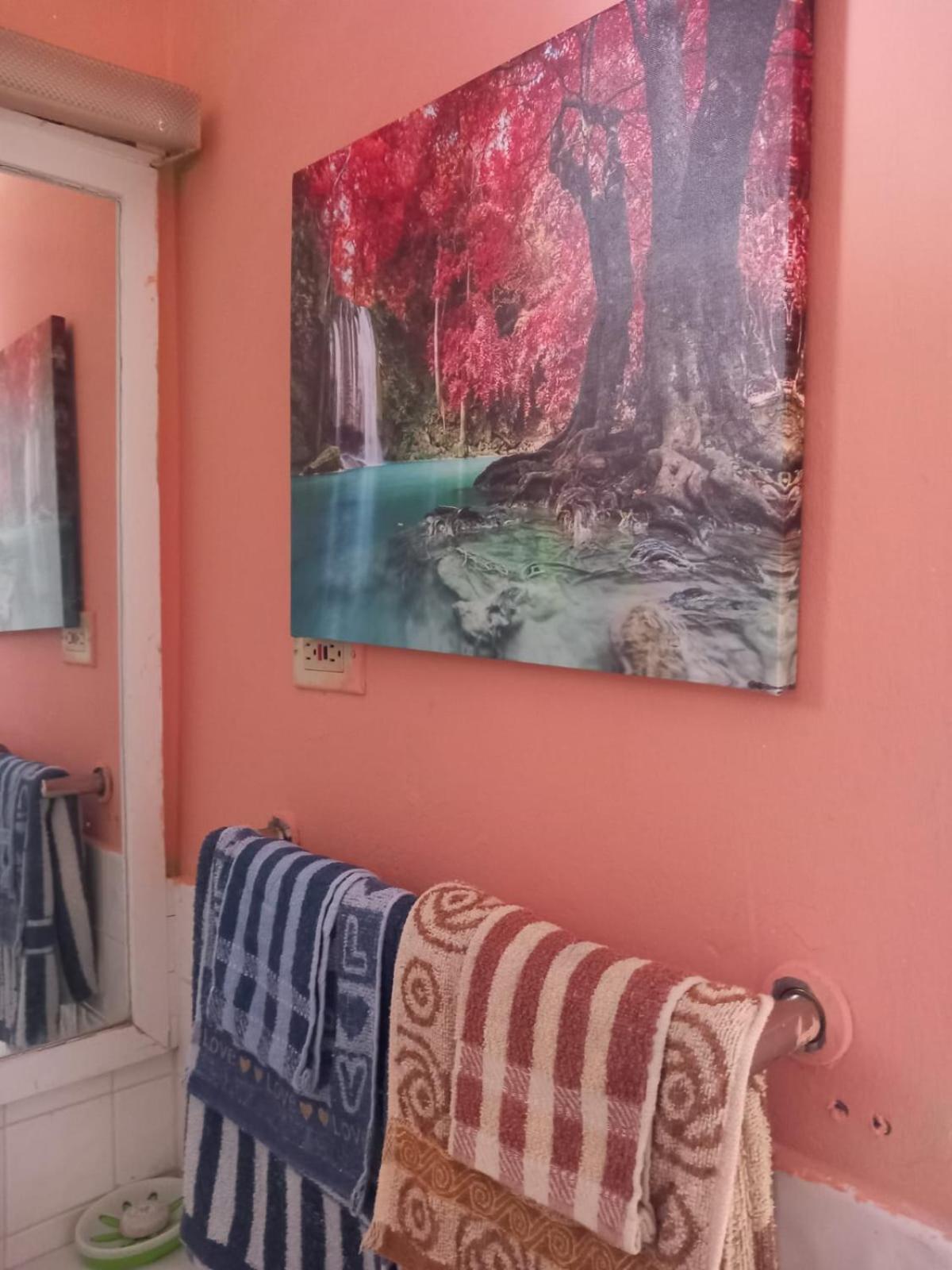 Seacastle Deluxe Studio Montego Bay Exteriör bild